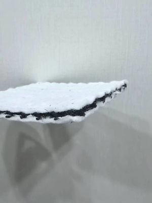 3D 배수 지오그리드 메쉬 완전 필터링 및 보호