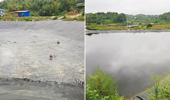 고성능 HDPE 매끄러운 지오 엠브라인, 700%의 연장, 뛰어난 화학 저항성, 수산물 재배용으로 사용자 정의 가능한 너비