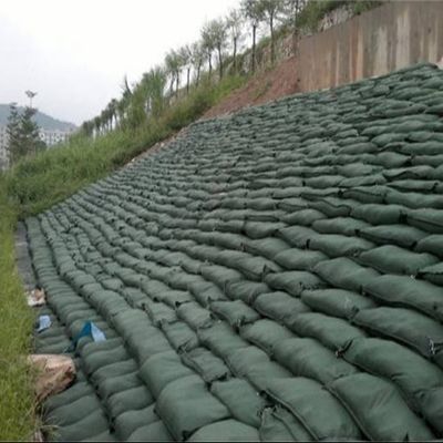 지속가능한 식물 강화 시스템 에코백 (EcoBags)