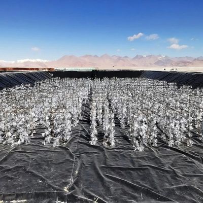 산과 알칼리 저항성, 찢기 저항성 HDPE 매끄러운 지오 엠브레인