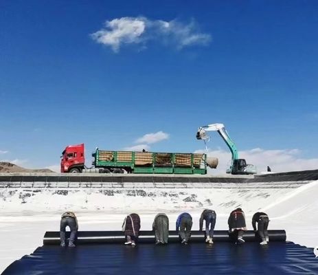 안전을 위해 설계되었습니다: 배설물 수족관 격리 및 환경 보호를위한 고성능 HDPE 지오 엠브라인 솔루션